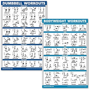 Palace Learning Dumbbell Workouts And Bodyweight Exercise Poster Set Laminated 2 Chart Set Dumbbell Exercise Routine Body Weight Workouts 18 X 24