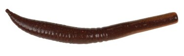 Berkley Gulp Killer Crawler Nightcrawler 3Inch