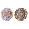 Beyblade Burst Evolution Dual Pack Istros I2 And Gaianon G2