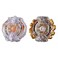 Beyblade Burst Evolution Dual Pack Istros I2 And Gaianon G2