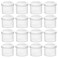 Coopay 16 Pieces Bug Viewer Critter Insect Cage Magnifying Insect Box Bug Magnifier Container Catcher Cage Science Nature Exploration Tools