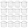 Coopay 16 Pieces Bug Viewer Critter Insect Cage Magnifying Insect Box Bug Magnifier Container Catcher Cage Science Nature Exploration Tools