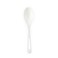 World Centric Compostable TPLA Spoon, 6" ,Pack of 1000