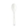 World Centric Compostable TPLA Spoon, 6" ,Pack of 1000