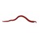 Berkley Gulp! Extruded Bloodworm , 1.2 oz, Bloody
