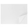 Pacific Arc Paper Rag Vellum Sheets, 11 x 17, 10-pk, Plain