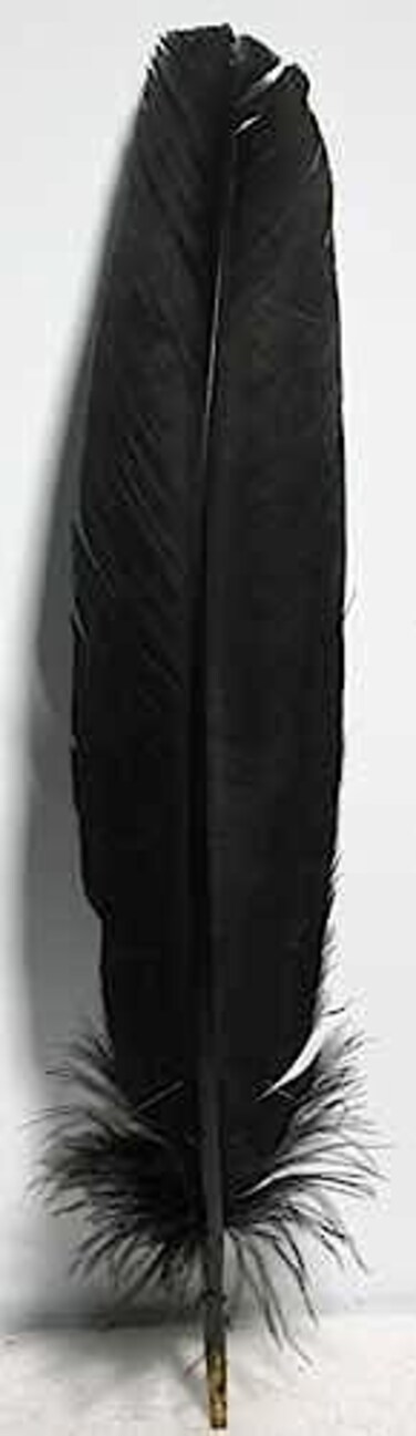 AzureGreen Black Feather