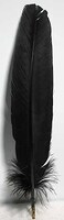 AzureGreen Black Feather