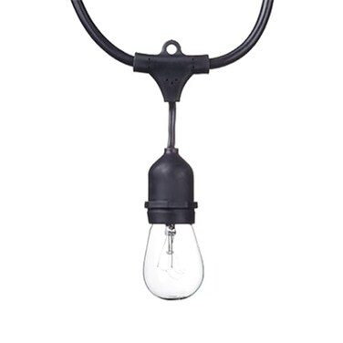 Globe Electric Dublin Collection, 48', 24 Light, S14, LED String Light Set