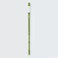 Sustee Aquameter, Plant Moisture Sensor, Set of 2 ,Green, Large