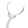 Resmed AirFit P10 Frame System Replacement Without Headgear, Small