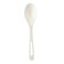 World Centric 100% Compostable Spoons by , Made from PLA, 6" Ice Cream Spoons ,Pack of 1000