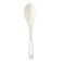 World Centric 100% Compostable Spoons by , Made from PLA, 6" Ice Cream Spoons ,Pack of 1000