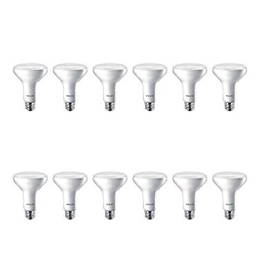 Philips LED Flicker-Free Frosted BR30 Light Bulb - EyeComfort Technology - 650 Lumen - Daylight ,5000K- 9W=65W - E26 Base - Basic LED Old Version - Indoor - 12-Pack