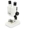 Celestron Labs S20 Straight Stereo Binocular Microscope for Large Specimen