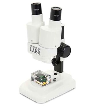 Celestron Labs S20 Straight Stereo Binocular Microscope for Large Specimen