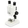 Celestron Labs S20 Straight Stereo Binocular Microscope for Large Specimen