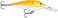 Rapala Shad Rap Crankbait, 2", Orange Tiger UV