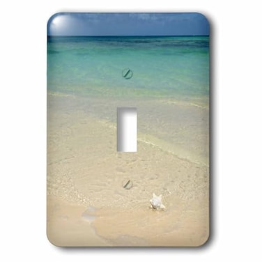 3dRose lsp2072331 Caribbean, Bvi, Anegada. Conch Shell on the Beach At Bones Bight. Single Toggle Switch