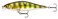 Rapala Shadow Rap Shad 09 Live Perch