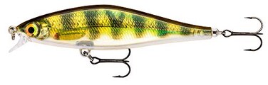 Rapala Shadow Rap Shad 09 Live Perch