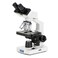 AmScope OMAX M82ES Binocular Compound Microscope, 40X-2000X