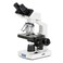 AmScope OMAX M82ES Binocular Compound Microscope, 40X-2000X