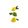 Silikomart Lemon--Lime-120 Silicone Mold with Plastic Supporter