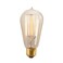Bulbrite 134019 40W Nostalgic Edison Squirrel Cage-Style Bulb