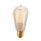 Bulbrite 134019 40W Nostalgic Edison Squirrel Cage-Style Bulb