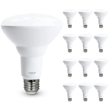 Feit Electric BR30 LED Light Bulbs, 65W Eq, Soft White, 12 Pack