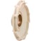 Pentair C1-200PA Diffuser Replacement Sta-Rite Max-E-Glas/Dura-Glas series Inground Pool and Spa Pump