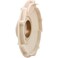 Pentair C1-200PA Diffuser Replacement Sta-Rite Max-E-Glas/Dura-Glas series Inground Pool and Spa Pump