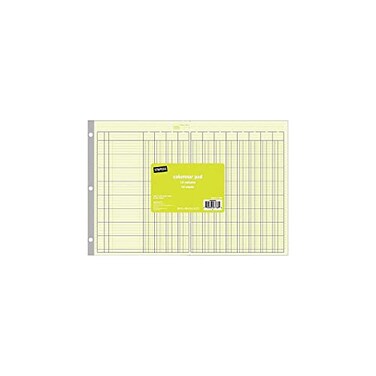 Staples 12-Column Accounting Ledger Columnar Book, Green, 16.31x11