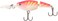 Rapala Jointed Shad Rap Crankbait, 2", Pink Tiger UV