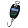 Performance Tool W1478 Black 660 lb. Digital Hanging Game Scale