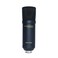 Marantz Professional MPM-1000U USB Condenser Microphone