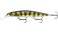 Rapala Shadow Rap Deep 11 Live Perch