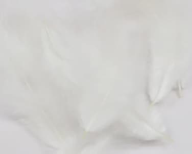Hareline Fly Tying Mini Marabou - White