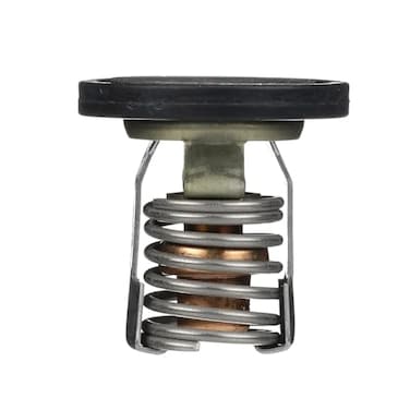 Quicksilver 8M0057307 Replacement Thermostat