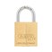 ABUS 75/30 Small Solid Brass Padlock with 2 Keys for Outdoor, School, Gym, 1 9/64in ,30mmWide, Keyed Different