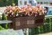 United Frames Ridge Rail Long Rectangular Flower Pot, Brown, 2 Pack