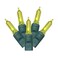 Vickerman X6G7533 Light Set Features 50 LED Lights on Green Wire with 6" Bulb Spacing, 25', Lime