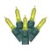 Vickerman X6G7533 Light Set Features 50 LED Lights on Green Wire with 6" Bulb Spacing, 25', Lime