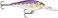 Rapala Shad Rap Crankbait, 2-3/4", Purpledescent
