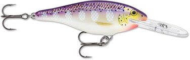 Rapala Shad Rap Crankbait, 2-3/4", Purpledescent