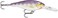 Rapala Shad Rap Crankbait, 2-3/4", Purpledescent