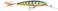 Rapala X-Rap Deep Jerkbait&ldquo; 4", Perch