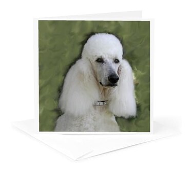 3dRose Standard Poodle 1 Greeting Card with envelope