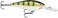 Rapala Shad Rap Crankbait, 2-3/4", Yellow Perch